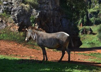 Asturias o Cantabria: ¿qué visitar en vacaciones en el Norte?