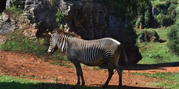 Asturias o Cantabria: ¿qué visitar en vacaciones en el Norte?