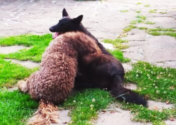 Aprendemos los secretos de una tienda de animales y plantas de Santander