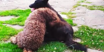 Aprendemos los secretos de una tienda de animales y plantas de Santander