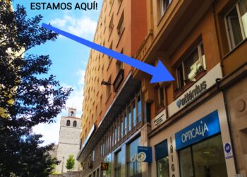 Empresas de ayuda a domicilio en Santander