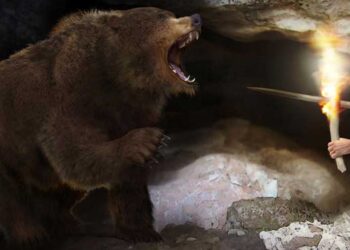 ¿Sabías que hubo leones y osos cavernarios en Santander?