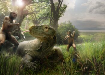 La isla indonesia en la que los hobbits fueron reales