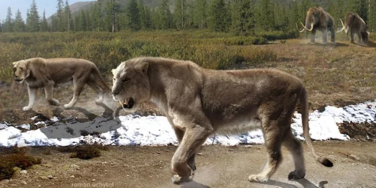 ¿Sabías que hubo leones y osos cavernarios en Santander?