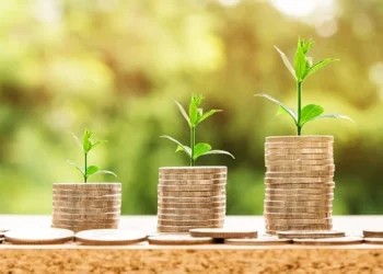 Hacer un tour en la bahía de Santander con una barquita a motor