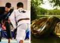 Dos equipos de Brazilian Jiu Jitsu de Santander participan en el campeonato de BJJ de León 2023