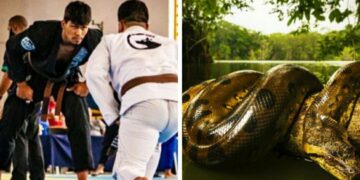 Dos equipos de Brazilian Jiu Jitsu de Santander participan en el campeonato de BJJ de León 2023