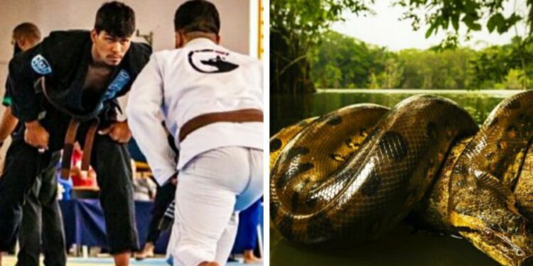 Dos equipos de Brazilian Jiu Jitsu de Santander participan en el campeonato de BJJ de León 2023