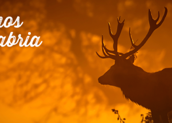 Planes para hacer en Bárcena Mayor y la Reserva del Saja