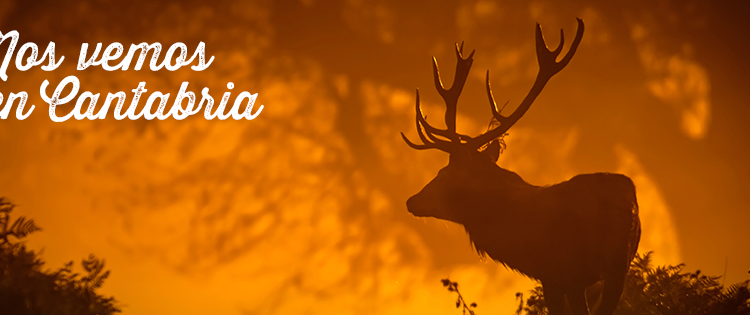 Planes para hacer en Bárcena Mayor y la Reserva del Saja