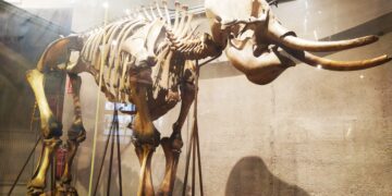 Mi visita al Museo de Ciencias Naturales de Madrid