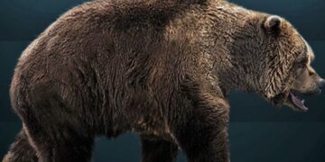 La posible destrucción de la Cueva de El Juyo, el templo de los teriántropos