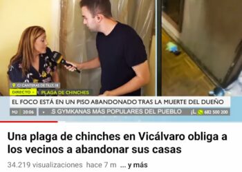 Prevención de plagas con más limpieza profesional en Vallecas, Lavapiés y otros barrios afectados