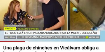 Prevención de plagas con más limpieza profesional en Vallecas, Lavapiés y otros barrios afectados