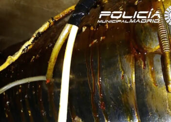 Kebab cerrado por Sanidad: las cucarachas y la mugre “no eran para tanto”