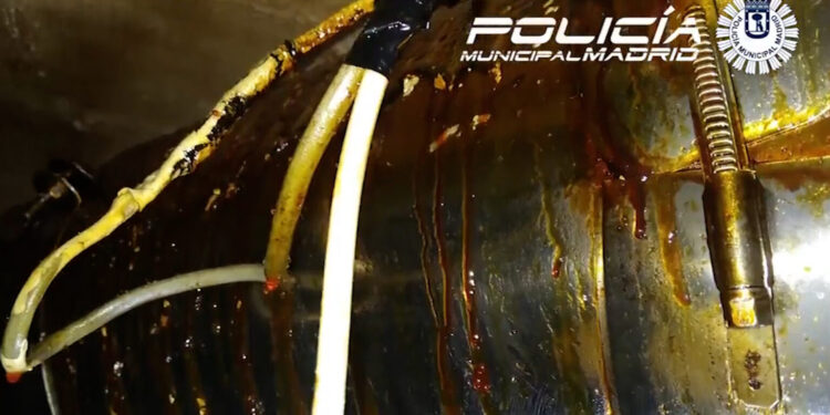 Kebab cerrado por Sanidad: las cucarachas y la mugre “no eran para tanto”