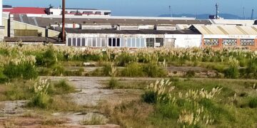 Una empresa de limpieza de polígonos en Madrid comenta los problemas de estos espacios industriales