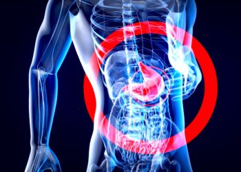 Médico digestivo en Cantabria