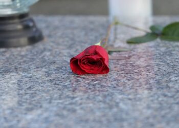 Nuestra experiencia como servicio de enterradores en Cantabria