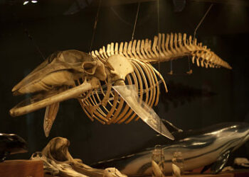 Menú del día en Santander y 20 planes para hacer aquí