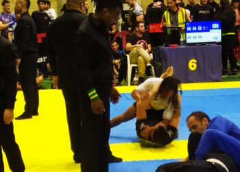 Promesas de la lucha cántabra consagradas en el torneo Oso Duro 2024 en Bilbao