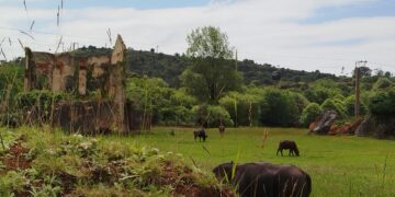 Cómo ir a Cabárceno en coche
