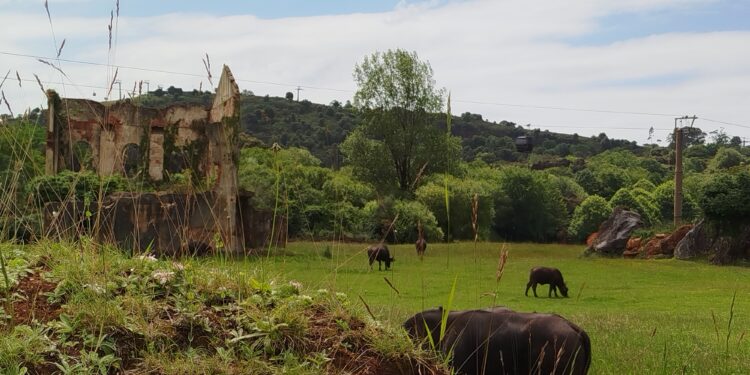 Cómo ir a Cabárceno en coche
