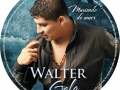 Conciertos en Santander en 2024