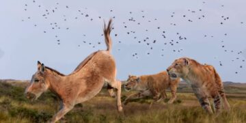 Ruta de los Misterios de Madrid con Michael Boor