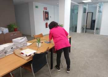 Limpieza de empresas en Vallecas: los elefantes vallecanos de hace 14 millones de años