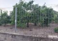 Instaladores de cerramientos para fincas en Cantabria