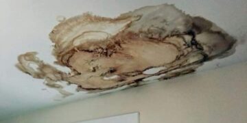 Limpieza profesional de pisos en Pozuelo, Madrid: pisos con muertos en su interior