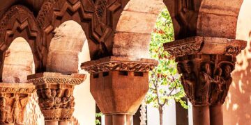 Reparación de cubiertas en Tudela y el problema de las cigüeñas