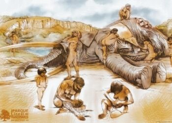 La ruta de los elefantes prehistóricos de Madrid
