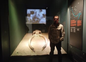 La ruta de los elefantes prehistóricos de Madrid