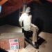 El Museo de la Tortura de Santillana del Mar y los museos más raros del mundo