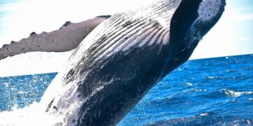 Las mejores playas de la zona oriental de Cantabria