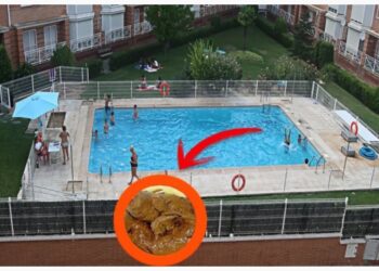 La limpieza de comunidades en Santander se enfrenta al reto de los cagones de piscinas