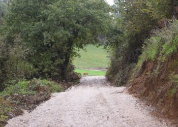 Un camino vecinal con hormigón en Cantabria conduce a una cueva misteriosa
