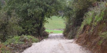 Un camino vecinal con hormigón en Cantabria conduce a una cueva misteriosa