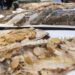 Restaurante El Mástil: especialidad en pescados a la plancha en Santander