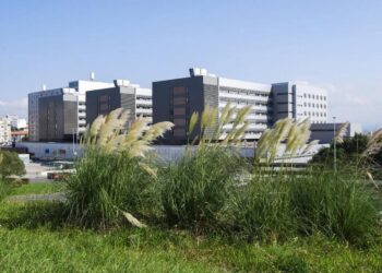 Control de plagas en Santander: el caso de los plumeros invasivos