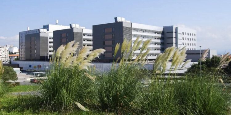 Control de plagas en Santander: el caso de los plumeros invasivos