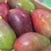 La fruta de verano en Cantabria atrae a los osos pardos hacia los pueblos
