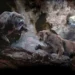 La Sima del Elefante y la fauna de Atapuerca y los restos humanos de esas épocas