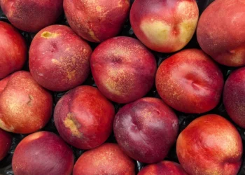 Tienda de Don Pedro en Puente Arce: todo lo que necesitas para seguir una dieta completa