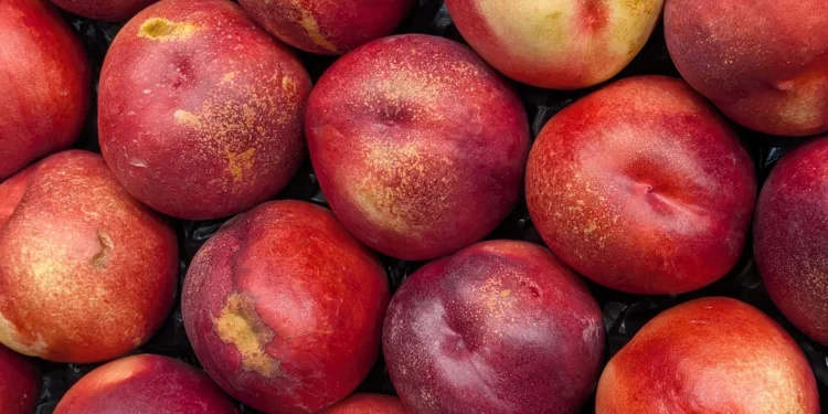 Tienda de Don Pedro en Puente Arce: todo lo que necesitas para seguir una dieta completa