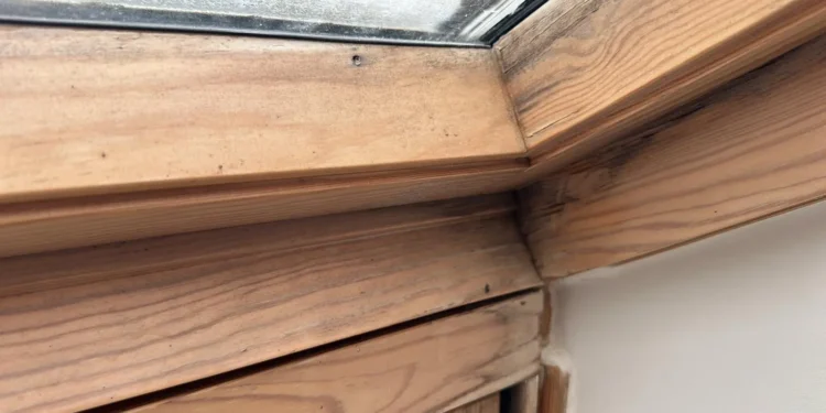 Pintor en Puente Arce deja una casa como si fuera la de las caras de Bélmez